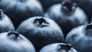 Bilberry-Dry-Extract